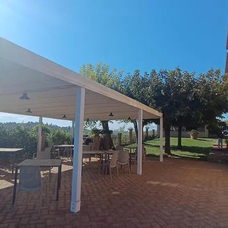 Tenuta L'oliveta