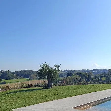 Tenuta L'oliveta Farm stay Crespina
