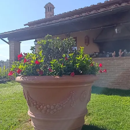 Tenuta L'oliveta Farm stay