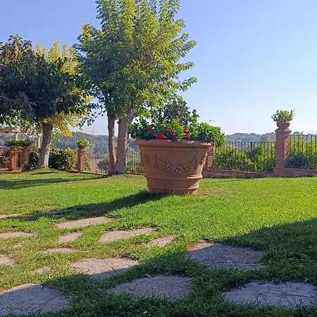 Tenuta L'oliveta