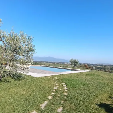 Tenuta L'oliveta *